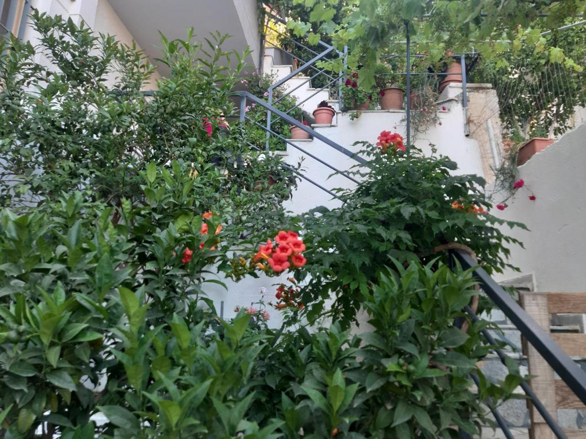 Mane Apartments Sarandë 외부 사진