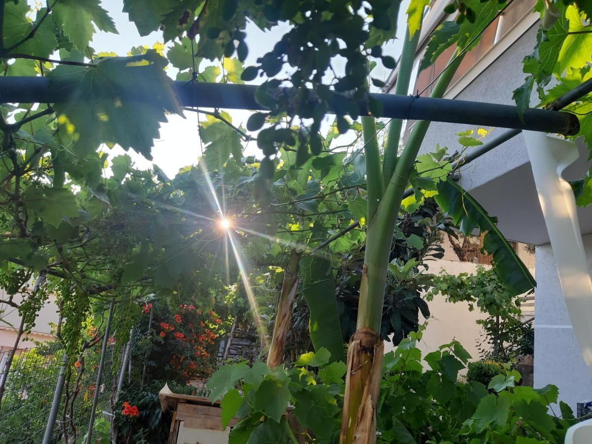Mane Apartments Sarandë 외부 사진